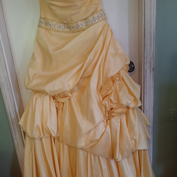 Prom Dress - Picture 2 of 4